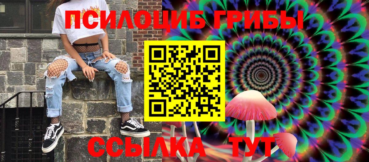 где найти   Вход с VPN  Петрозаводск  Псилоцибиновые грибы MAGIC MUSHROOMS 