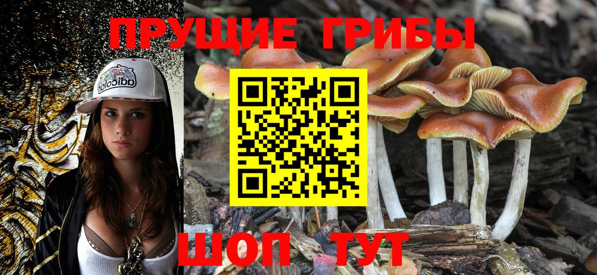 Галлюциногенные грибы мицелий Петрозаводск